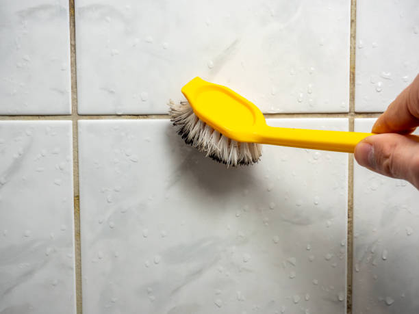 Best Professional Mold Removal  in Monument Hills, CA