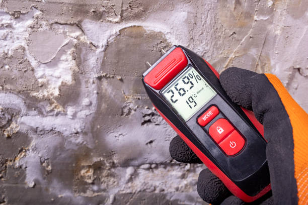 Best Professional Mold Removal  in Monument Hills, CA