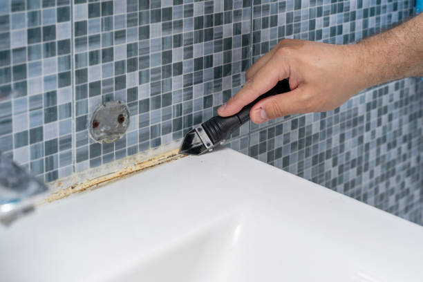 Best Commercial Mold Removal  in Monument Hills, CA