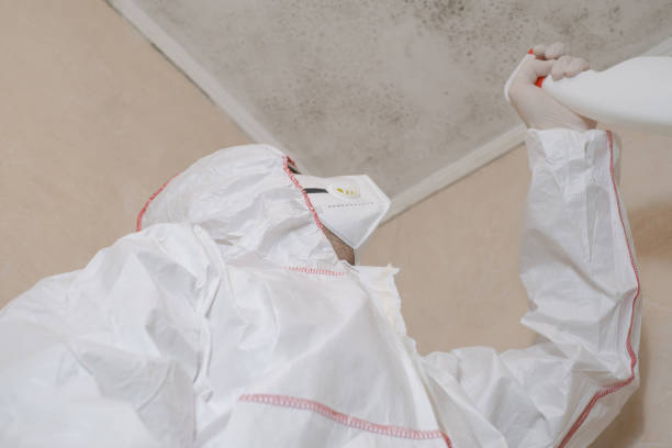 Best Mold Damage Repair  in Monument Hills, CA