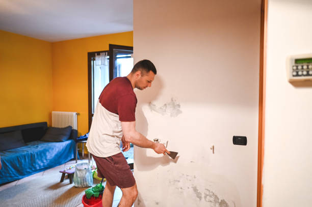 Best Mold Damage Repair  in Monument Hills, CA
